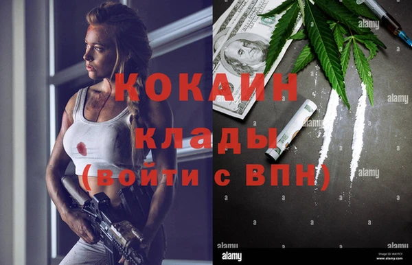дживик Михайловск