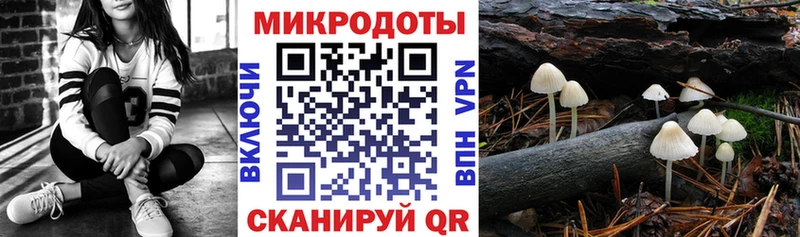 Галлюциногенные грибы GOLDEN TEACHER Миньяр